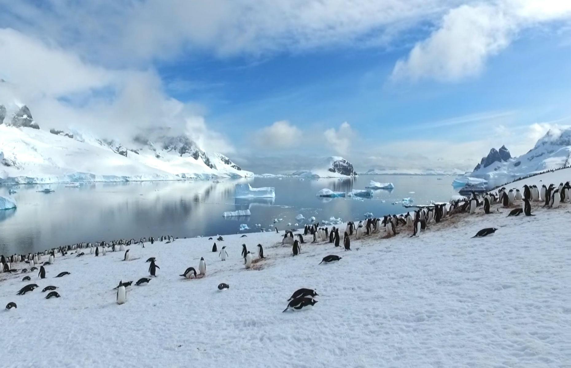 Tread in the footsteps of Antarctic explorers